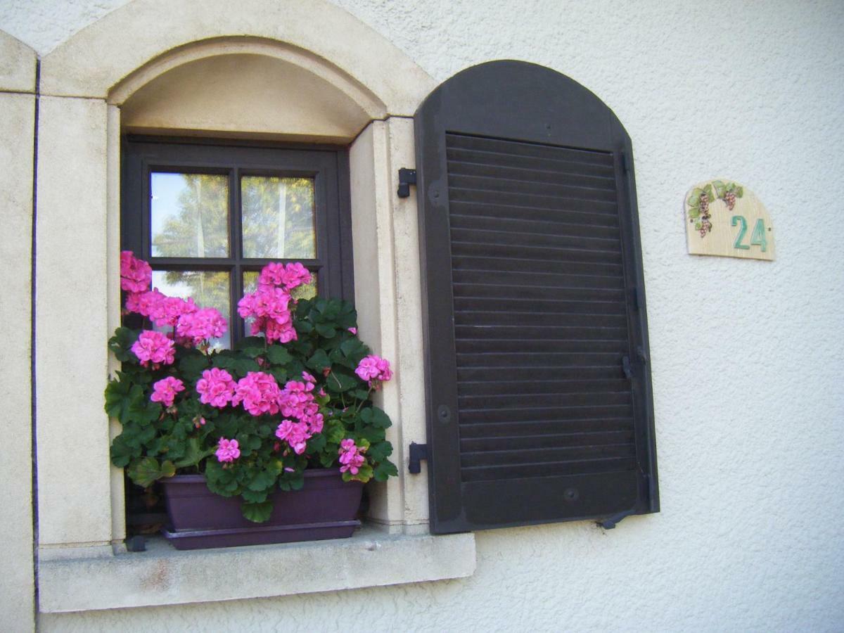 Les Lutins Bed & Breakfast Sainte-Ruffine Exterior photo